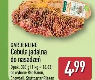 Gardenline cebula jadalna do nasadzeń