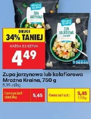 Zupa jarzynowa lub kalafiorowa Mrożona Kraina