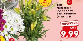 Lilie
