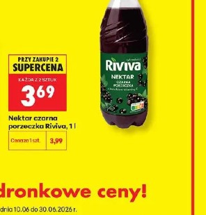 Nektar czarna porzeczka Riviva