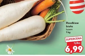 Rzodkiew biała