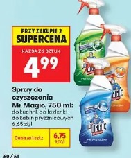 Spray do czyszczenia Mr Magic, 750 ml