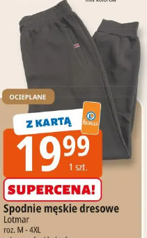 Spodnie męskie dresowe Lotmar