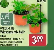 Gardenline Wiosenny mix bylin