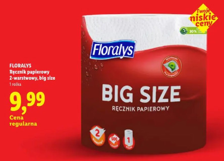 Floralys ręcznik papierowy 2-wartswowy, big size