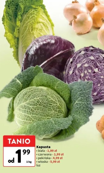 Kapusta biała, czerwona, pekińska, włoska
