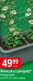 Doniczka z pergolą Prosperplast