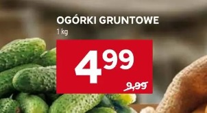 Ogórki gruntowe