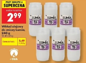 Wkład olejowy do zniczy Lumia