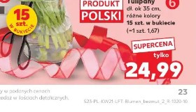 Tulipany