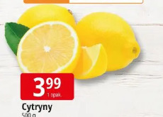 Cytryny