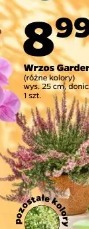 Wrzos Garden Girls
