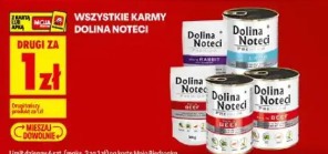 Wszystkie karmy Dolina Noteci