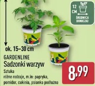 Gardenline Sadzonki warzyw