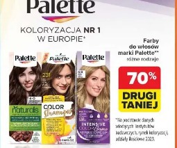 Palette farby do włosów