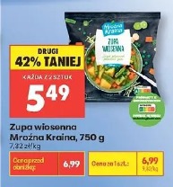 Zupa wiosenna Mrożona Kraina