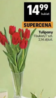 Tulipany