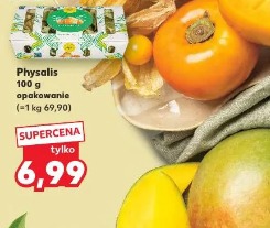 Physalis