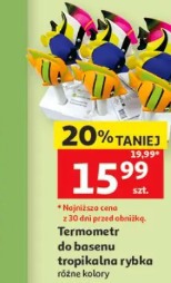 Termometr do basenu tropikalna rybka