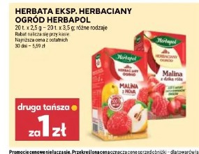 Herbata eksp. herbaciany ogród HerbaPol