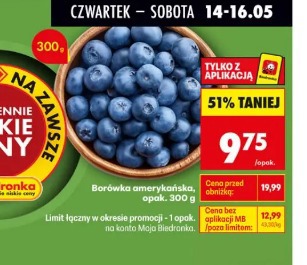 Borówka amerykańska opak. 300g