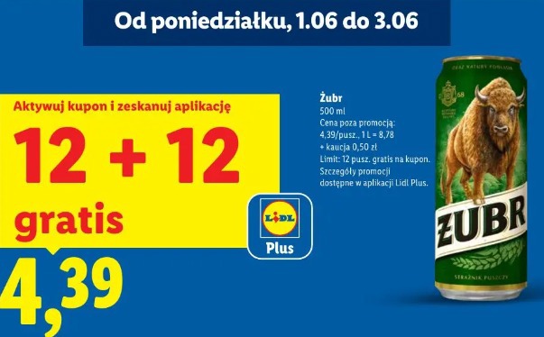 Żubr