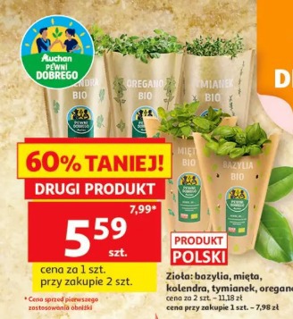 Zioła: bazylia, mięta, kolendra, tymianek, oregano