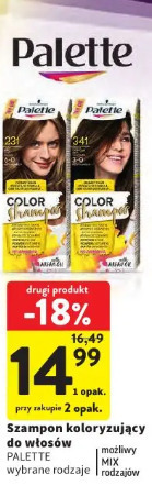 Palette szampon koloryzujący do włosów