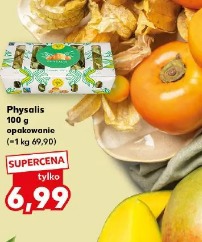 Physalis