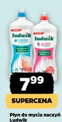 Płyn do mycia naczyń Ludwik