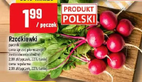 Rzodkiewki