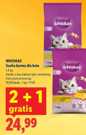 Whiskas Sucha karma dla kota
