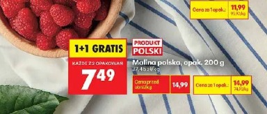 Malina polska
