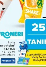Lody na patyku KAKTUS 45-90 ml różne rodzaje