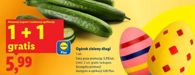 Ogórek zielony długi