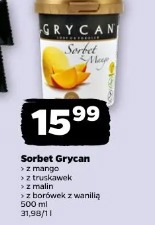 Sorbet Grycan