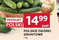 Polskie ogórki gruntowe