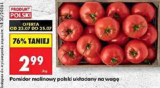 Pomidor malinowy polski