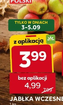 Jabłka wczesne