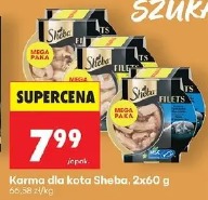 Karma dla kota Sheba