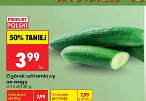 Ogórek szklarniowy