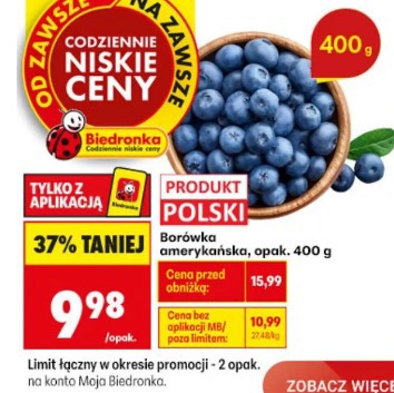 Borówka amerykańska
