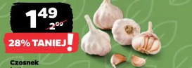 Czosnek