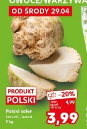 Polski seler korzeń