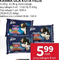 Karma dla kota Felix