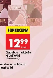 Gąbki do makijażu Niuqi Wild