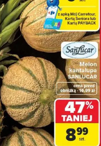 Melon kantalupa Sanlucar