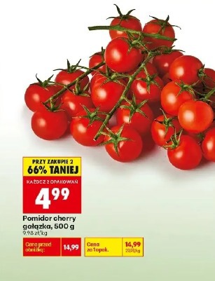 Pomidor cherry gałązka