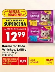 Karma dla kota Whiskas