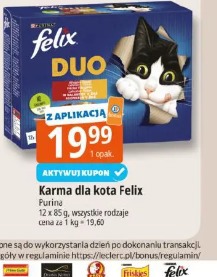 Karma dla kota Felix Purina